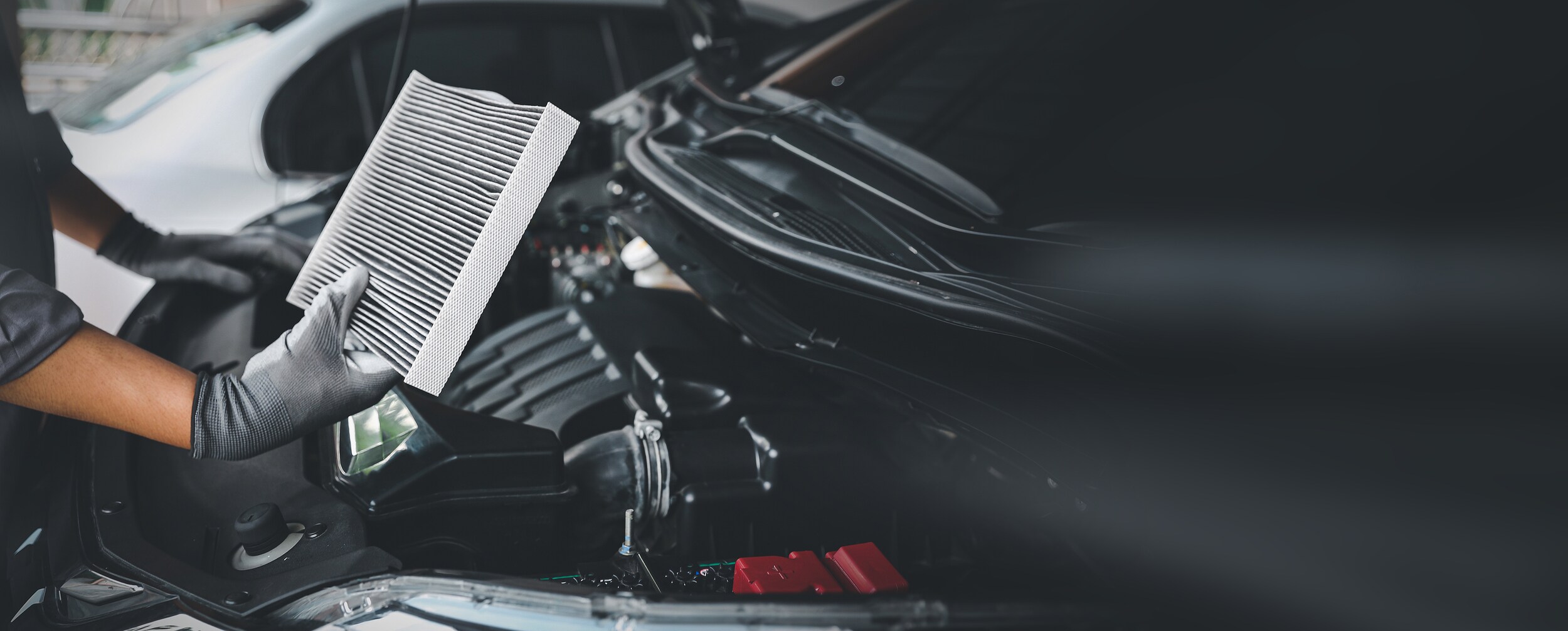 Lexus Air Filter Service